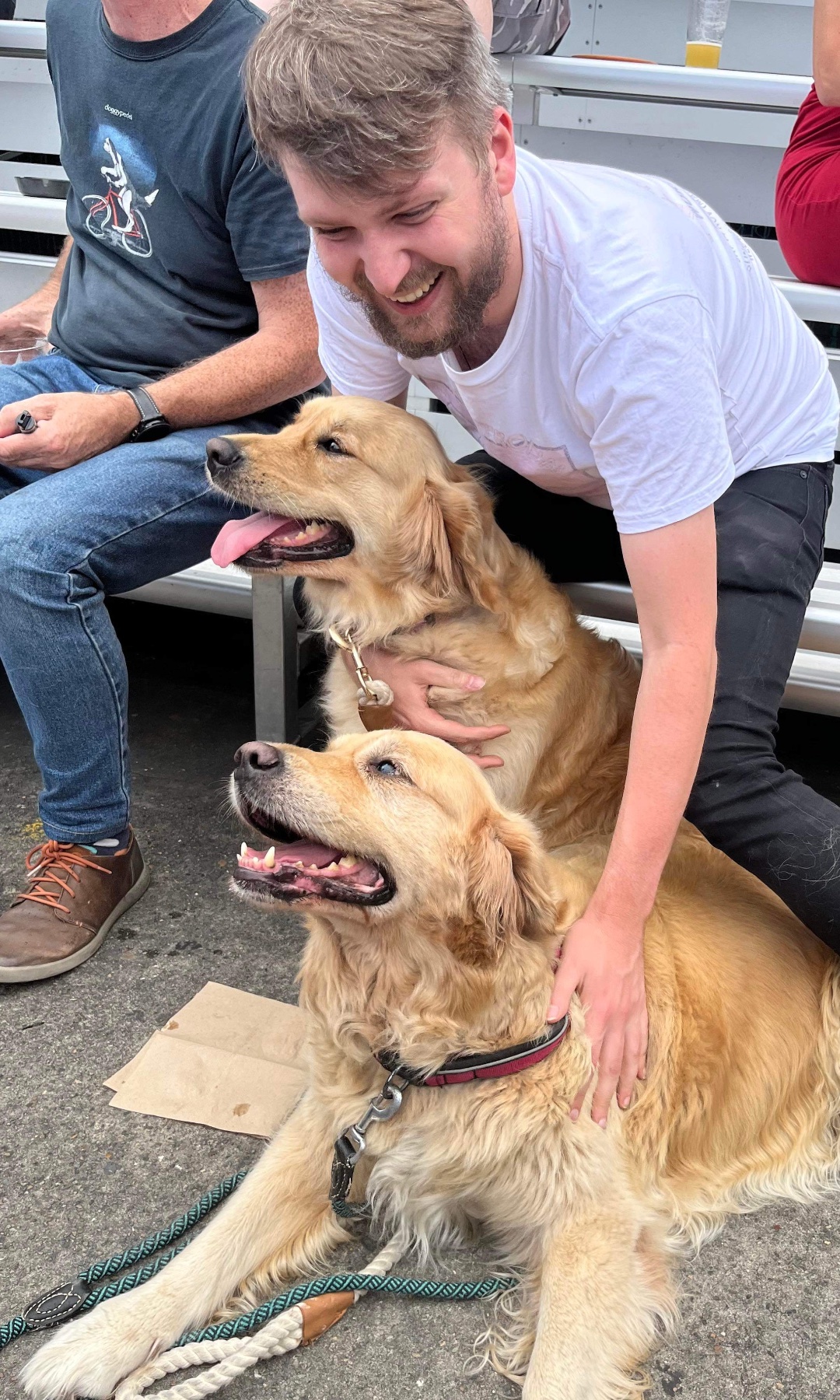 A photo of Max interacting with two golden retrievers. His jeans are covered in hair.
