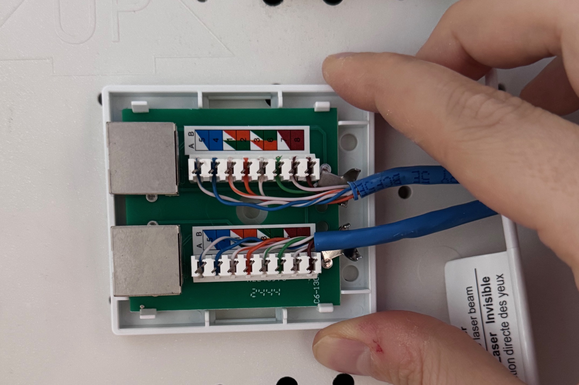 Cat 5e cable punched down into a dual-port keystone jack